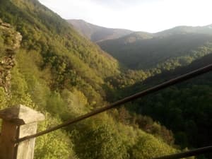 thumbnail: General view