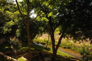 thumbnail: Property grounds