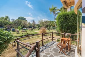 thumbnail: Terrace/patio