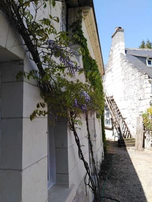 thumbnail: Exterior