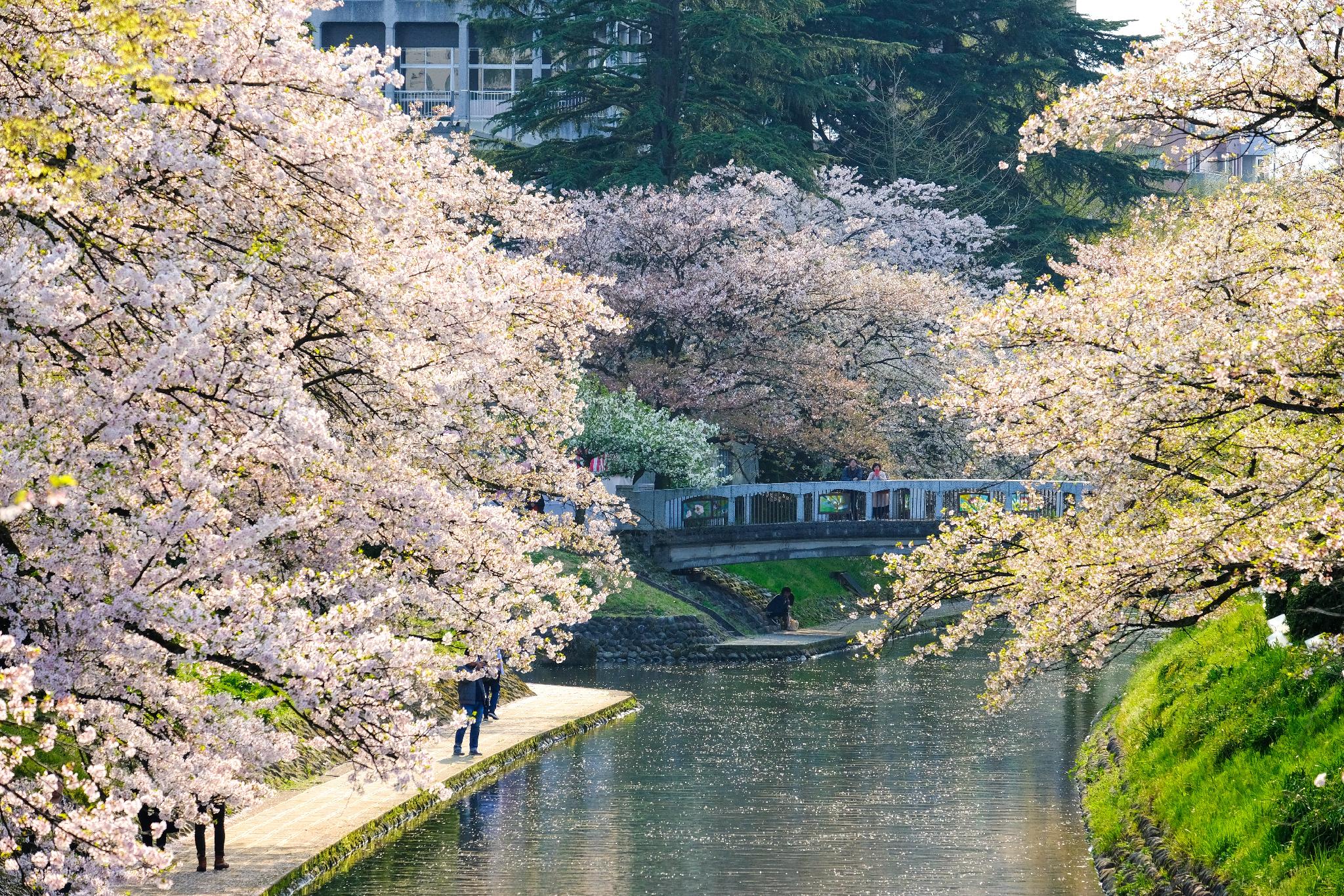 Surroundings
