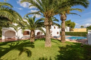 thumbnail: 248987452.jpg