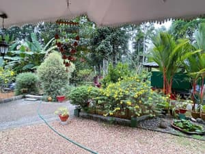 thumbnail: Front of property