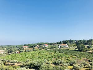 thumbnail: View from property