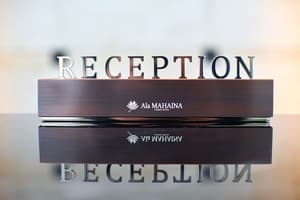 thumbnail: Reception