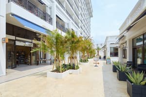 thumbnail: Shopping mall