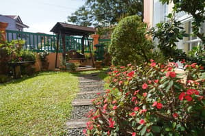 thumbnail: Garden view
