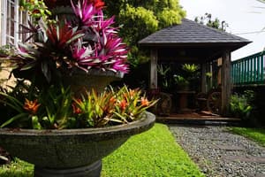 thumbnail: Gazebo