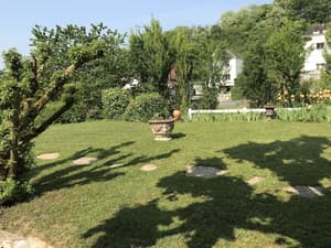 thumbnail: Garden