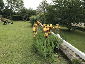 thumbnail: Garden