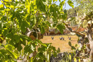 thumbnail: Property grounds