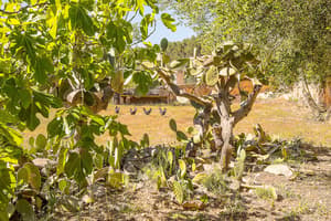 thumbnail: Property grounds