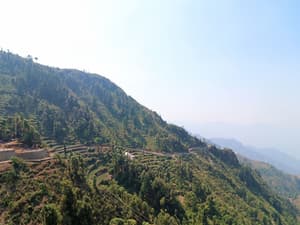 thumbnail: View from property