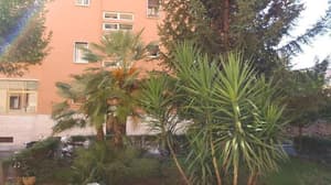 thumbnail: General view