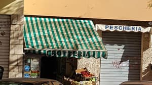 thumbnail: General view