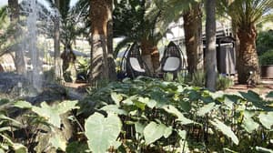 thumbnail: Garden
