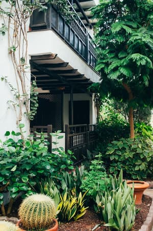 thumbnail: Garden
