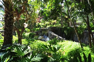 thumbnail: Garden
