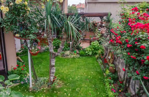 thumbnail: Garden