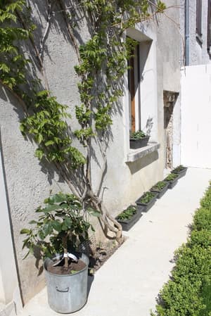 thumbnail: Front of property