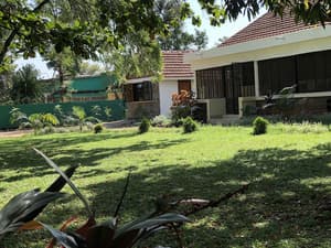 thumbnail: Garden