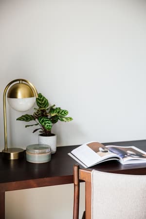 thumbnail: Interior