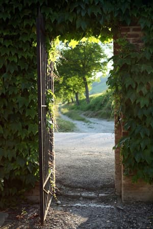 thumbnail: Exterior