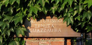 thumbnail: Exterior detail