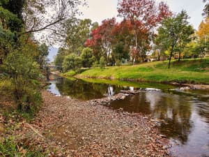 thumbnail: Bicycling