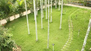 thumbnail: General view
