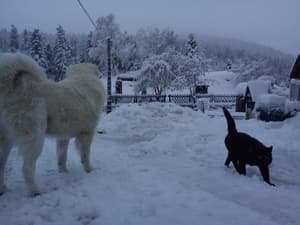 thumbnail: Mountain view