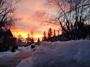 thumbnail: Property grounds