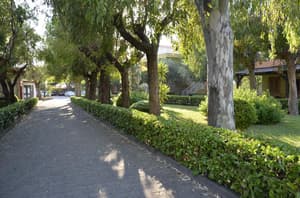 thumbnail: General view