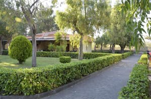 thumbnail: General view