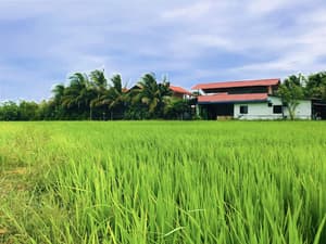 thumbnail: Front of property