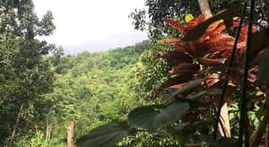 thumbnail: View from property