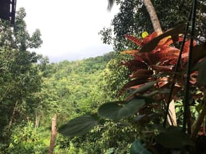 thumbnail: Property grounds