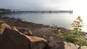 thumbnail: View from property