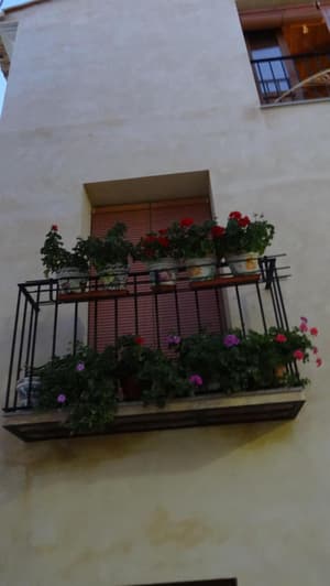 thumbnail: General view