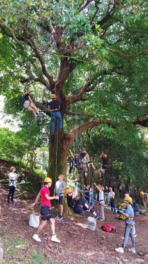 Children's activities