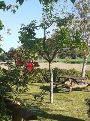 thumbnail: General view