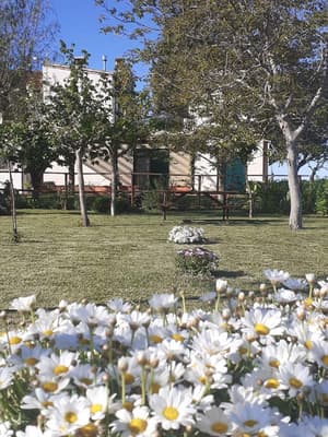 thumbnail: General view