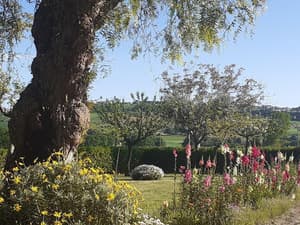 thumbnail: General view