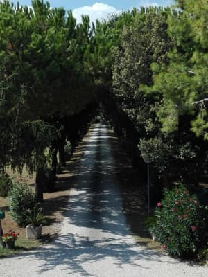 thumbnail: General view