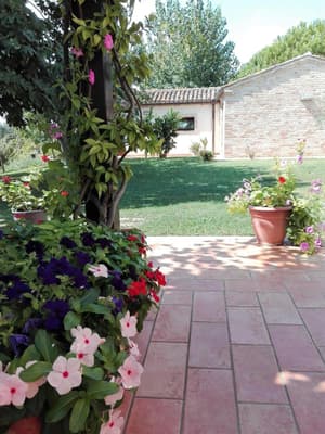 thumbnail: General view