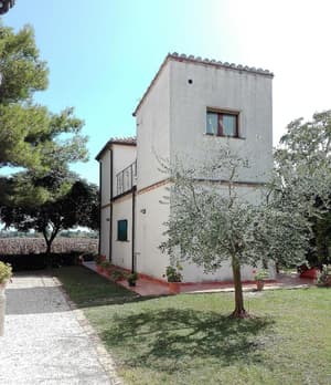 thumbnail: General view