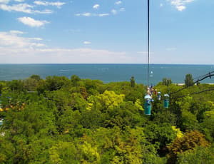 thumbnail: Aerial view