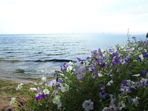 thumbnail: Beach