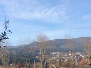thumbnail: View from property