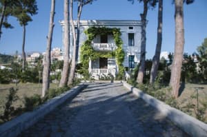 thumbnail: General view